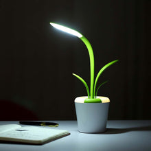 Load image into Gallery viewer, Orchid Mini LED Table lamp, Creative led Colourful Atmosphere lamp
