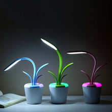 Load image into Gallery viewer, Orchid Mini LED Table lamp, Creative led Colourful Atmosphere lamp
